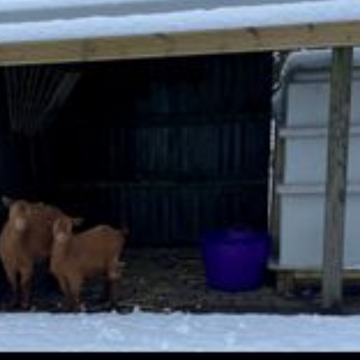 Farnsfield St Michael’s Church of England Primary School Newsletter